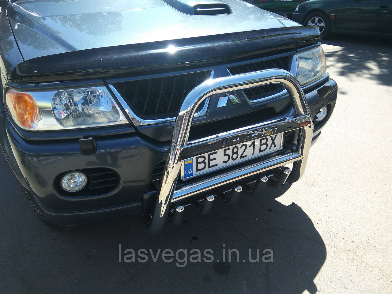 Мухобійка Mitsubishi Pajero Sport 1998-2007 (Sim)