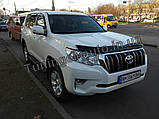 Мухобойка, дефлектор капота Land Cruiser Prado 150 2017- (Sim), фото 4