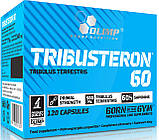 Тестостеровий бустер Трибустерон 60 (Olimp Tribusteron 60) 500 мг 120 капсул