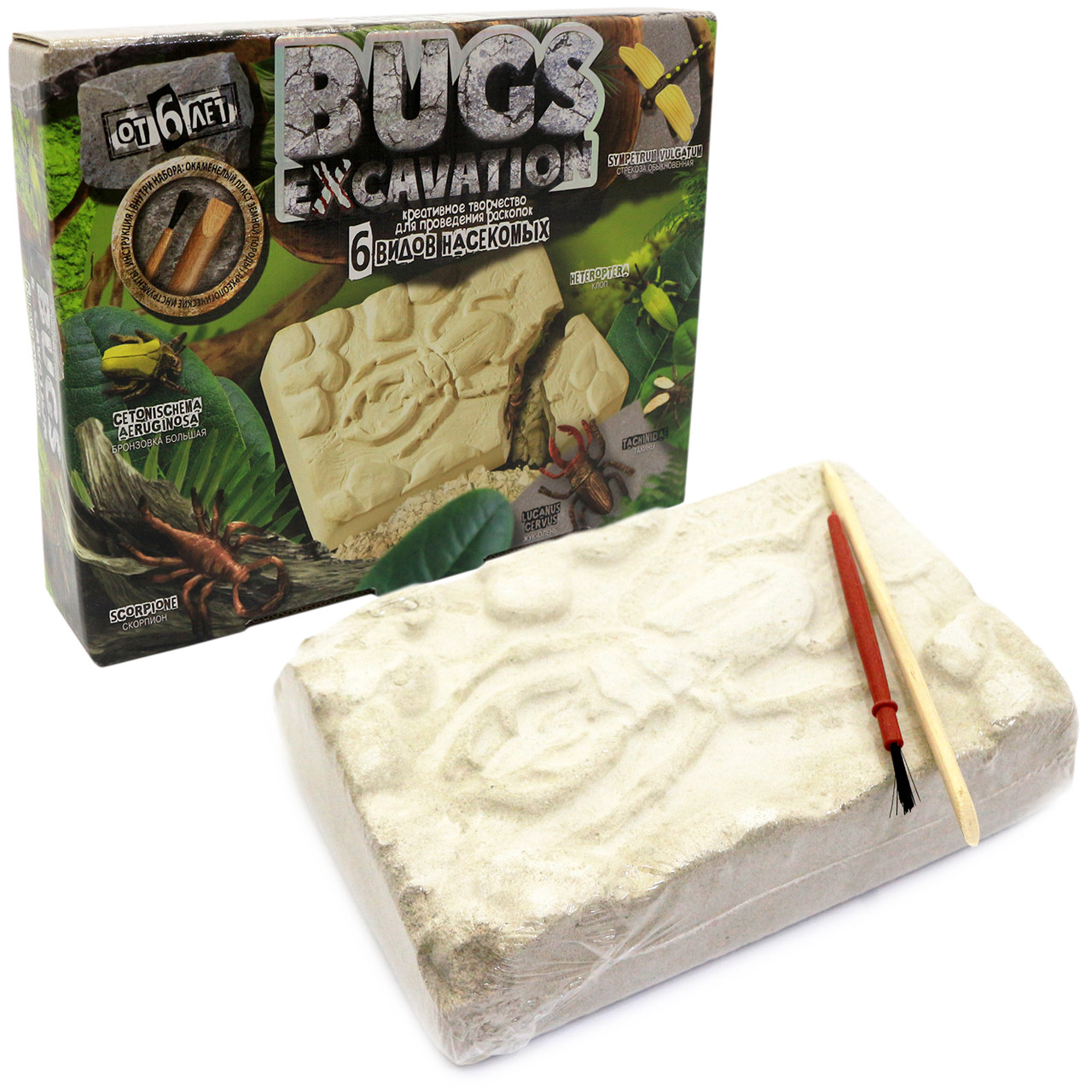 Розкопки комах Жуки «Bugs Excavation» Danko Toys, 6 видів, 24*20*5 см (BEX-01-02)