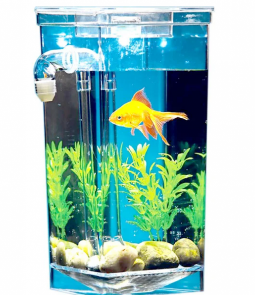 Акваріум, що самоочищається My Fun Fish