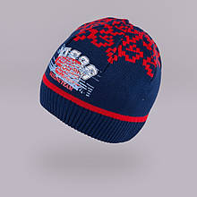 Демісезонна шапка для хлопчика TuTu 3-002502 (52-56)