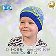 Демісезона шапка для хлопчика TuTu арт. 3-002538(46-50, 50-54), фото 4