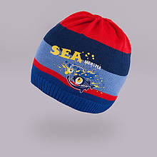 Демісезона шапка для хлопчика TuTu арт. 3-002538(46-50, 50-54)