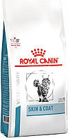 Royal Canin Skin&Coat Feline сухой, 3,5 кг