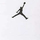 Майка чоловіча спортивна Jordan Dri-FIT Sport Top (DM1827-100), фото 6