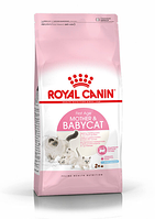 Royal Canin Mother & Babycat Роял Канін мазер и бебікет для кішок та кошенят від 1 до 4 міс, 2 кг.