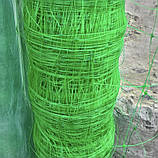 Сітка огіркова 1.7х100 м "Угорщина". Для підв'язування кучерявих рослин., фото 4