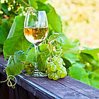 Вино «Кокетка» (біле напівсолодке, 10 л/шт.), фото 2