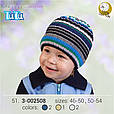 Демісезонна шапка для хлопчика TuTu арт. 3-002508(46-50, 50-54), фото 3
