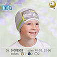 Демісезона шапка для хлопчика TuTu арт. 3-002503(52-56), фото 6