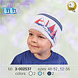 Демісезона шапка для хлопчика TuTu арт. 3-002537(48-52, 52-56), фото 8