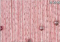 Штори-нитки «Рожевий. Дощ» 3х3м -- однотонний, люрекс + стеклярус