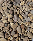 Галька річкова коричнева / камінь для ландшафту, клумб, прудів, водойм (ціна за 1 кг від 1 тони), фото 4