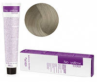 Крем-краска для волос Fanola No Yellow Colouring Cream №9 Ice 100 мл (4366L')