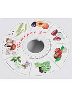 Електросушарка для фруктів та овочів Вітерець-2 на 30 літрів з піддонами пастили, фото 3