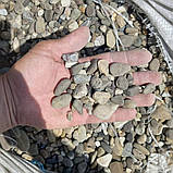 Галька гравій річковий сірий для клумб, прудів, водойм та ландшафту (ціна за 1 кг від 1 тони), фото 3