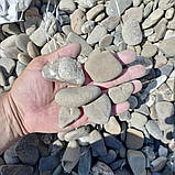 Галька гравій річковий сірий для клумб, прудів, водойм та ландшафту (ціна за 1 кг від 1 тони), фото 4