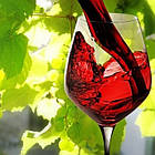 Вино «Дамський каприз» (червоне напівсолодке, 10 л/шт.), фото 2