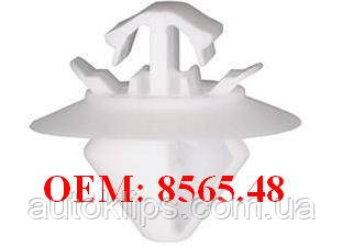 Кліпси пістон молдингу Citroen C4, Jumpy / Fiat Scudo 07-13, Doblo '00-09 / Peugeot Expert 8565.48
