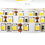 Світлодіодна стрічка 12V, 2835, 120 led/m, 9.6W, IP20, 4500K - білий нейтральна, Econom. Гарантія - 6 місяців, фото 2