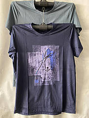Чоловіча котонова футболка НОРМА A16 (в уп. різні розміри та забарвлення)