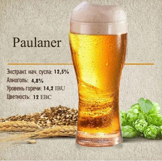 Зерновий набір "Paulaner" (Пауланер клон) на 50 літрів пива