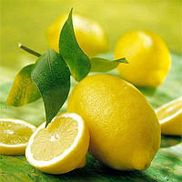 Ароматизатор натуральный Лимон (сухой)