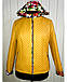 Жіночий піджак-двійка (у кольорах), фото 3