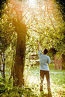 Висоторіз телескопічний, 2м IDEAL