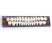 Зуби пластмасові на планках Super Dent А2 (Супер Дент А2), 28 зубів