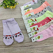 Шкарпетки дитячі літні із сіткою ЕКО р.18 (7-8 років) для дівчинки випадкове асорті 30035234, фото 2