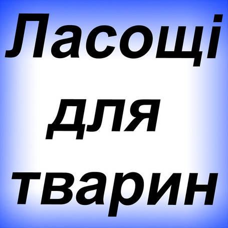 Ласощі для тварин