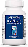Allergy Research BrainStorm / Поддержка функции мозга и памяти 60 таблеток