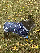 Курточка для собаки утеплена Весна, фото 3