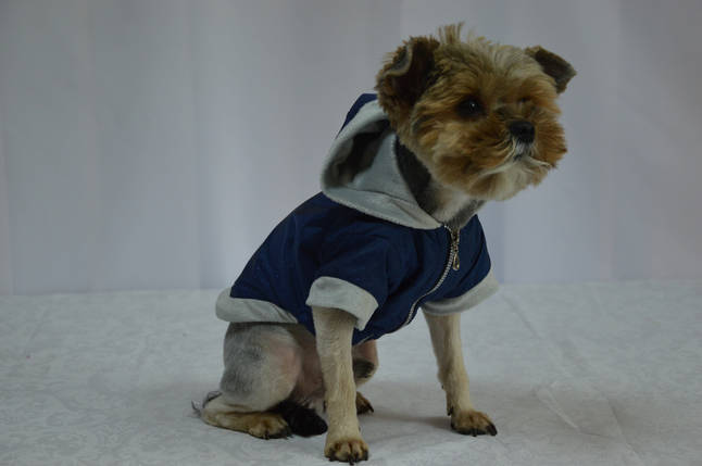 Куртка для собак утеплена Сільвер, фото 2