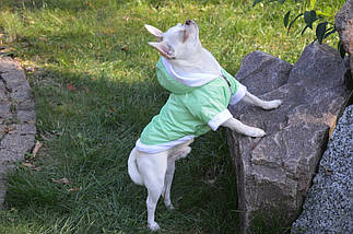 Куртка для собак Сільвер, фото 3