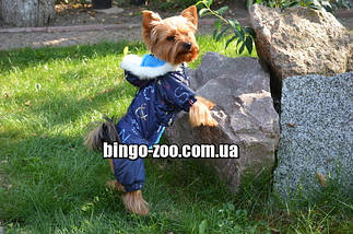 Комбінезон костюм для собаки Забава синій, фото 3