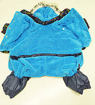 Комбінезон костюм для собаки Забава синій 38*64 мопс 2, фото 3