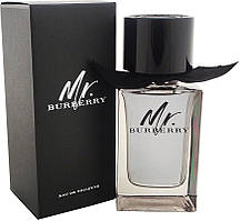 Burberry Mr. Burberry Eau de Toilete