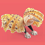 Забавні саморобки з мушель, фото 8