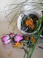 Фітозбір Аденома фіточай