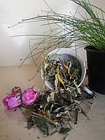 Фітозбір Вітамінка фіточай