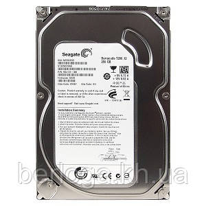 Жорсткий диск Seagate 250 Гб ST3250318AS