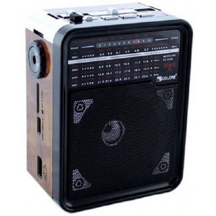 Радіоприймач з USB-виходом GOLON RX-9100 Чорний з коричневим, фото 1
