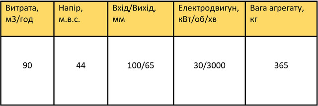 СМ100-65-250/2б характеристики