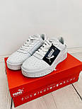 Жіночі кросівки Puma Cali Leather White білі осінь-весна. Живе фото, фото 4