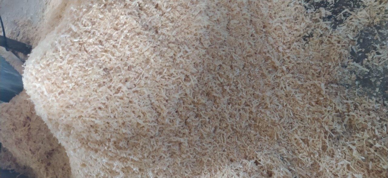 Стружка та опілки соснова в мішках, суха, самовивіз Дніпро (просп. Поля)