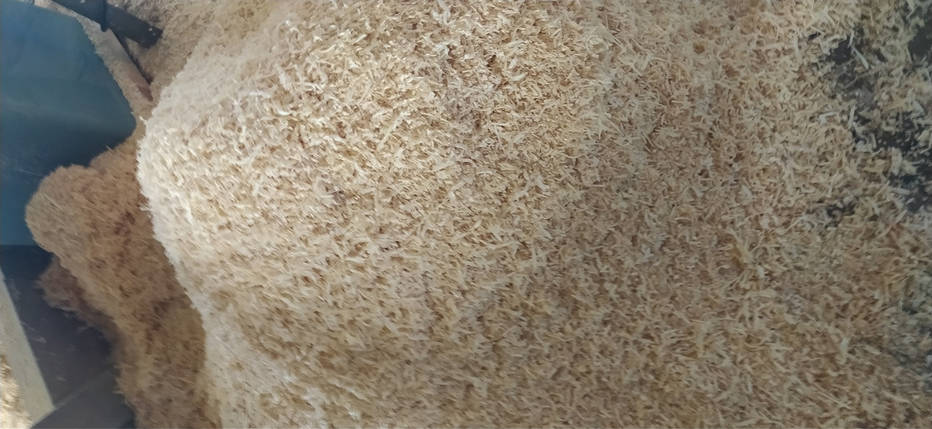 Стружка та опілки соснова в мішках, суха, самовивіз Дніпро (просп. Поля), фото 2