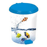 Відро педальне Еlif, з малюнком "Квіти гербери", 17 л., фото 6